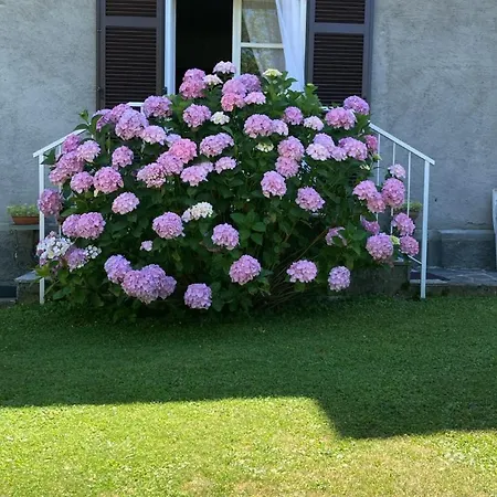 La Ca Del Bicc